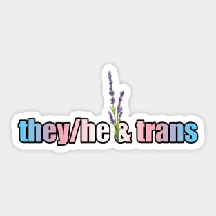 They/He & Trans Pride - Pronouns with Lavender Sticker